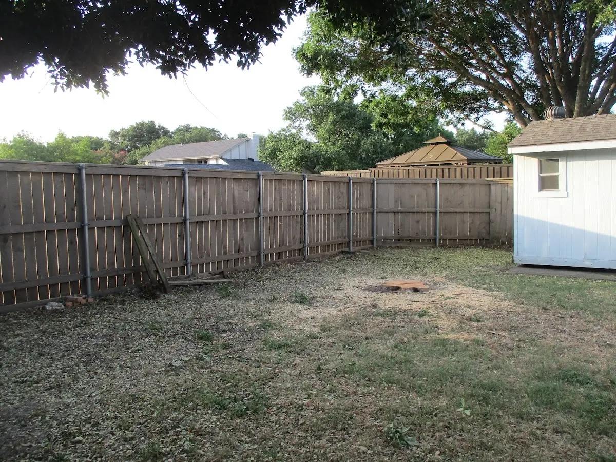 Cleared yard after professional tree removal in Rickman