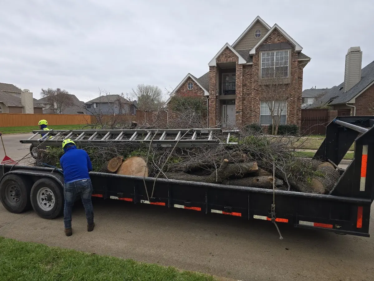 Expert Lot Clearing with proper safety equipment in Rickman